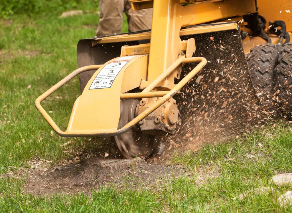 stump grinding services
